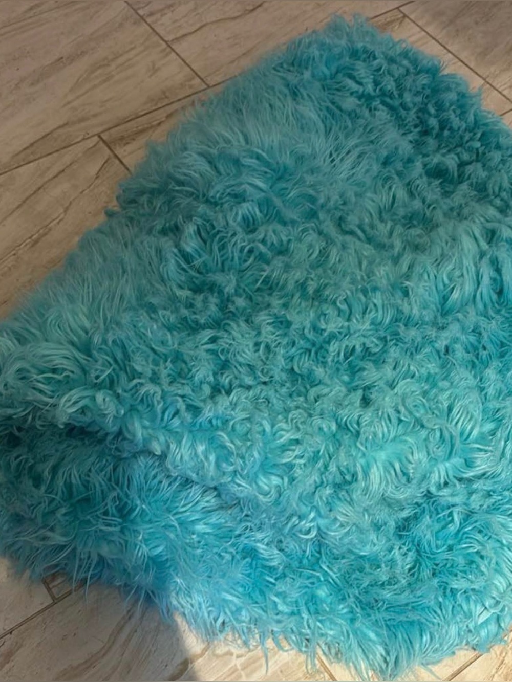 Pottery Barn Deep Pool Faux-Fur Bean Bag Slipcover